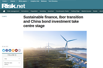 Screencapture of the Risk.net article