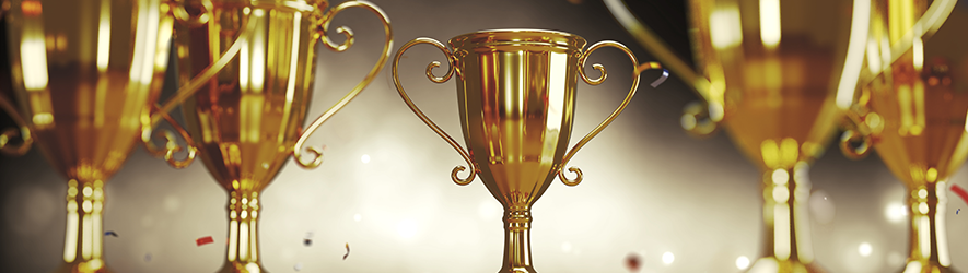 Photo of trophies