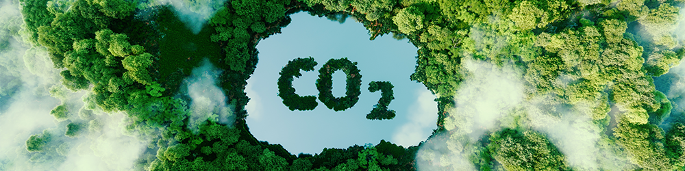 Concept depicting the issue of carbon dioxide emissions and its impact on nature in the form of a pond in the shape of a co2 symbol located in a lush forest