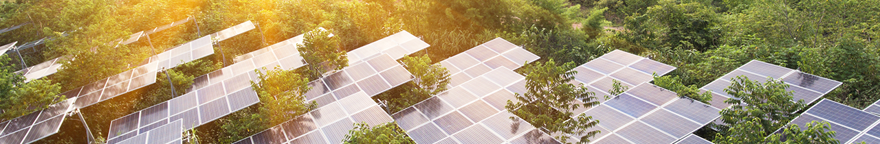 Sustainable Banking