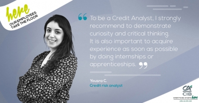 credit risk analyst